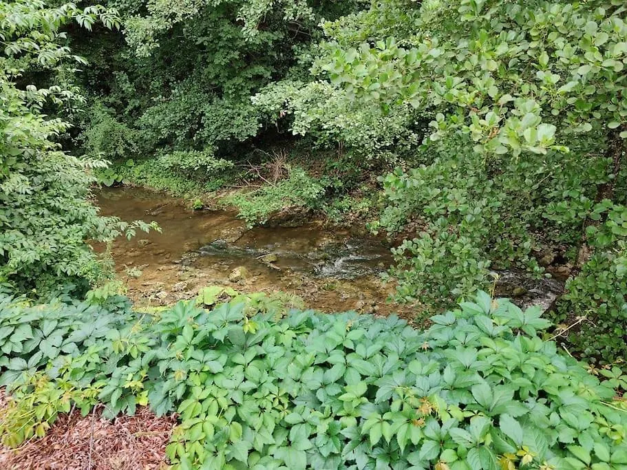 Prázdninový dům Vila Al Molino Di Monteluco Gaiole in Chianti Itálie